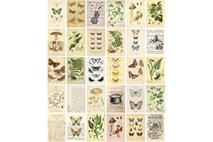 HOSTEESSCHOICE Vintage Collection Postcard Set Retro Style 30 PCS 4x6 in Botanical Butterfly Flower Mushroom Nature Postcards