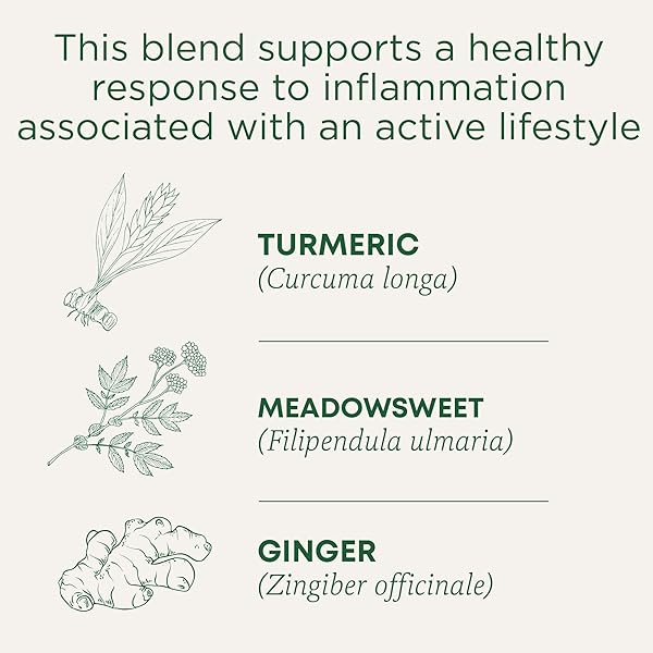 TRADITIONAL MEDICINALS ORGANIC, TURMERIC TEA WITH GINGER & MEADOWSWEET – SUPPORTS NORMAL RESPONSE TO INFLAMMATION – KOSHER, NON-GMO, CAFFEINE-FREE, COMPOSTABLE – 16 TEA BAGS