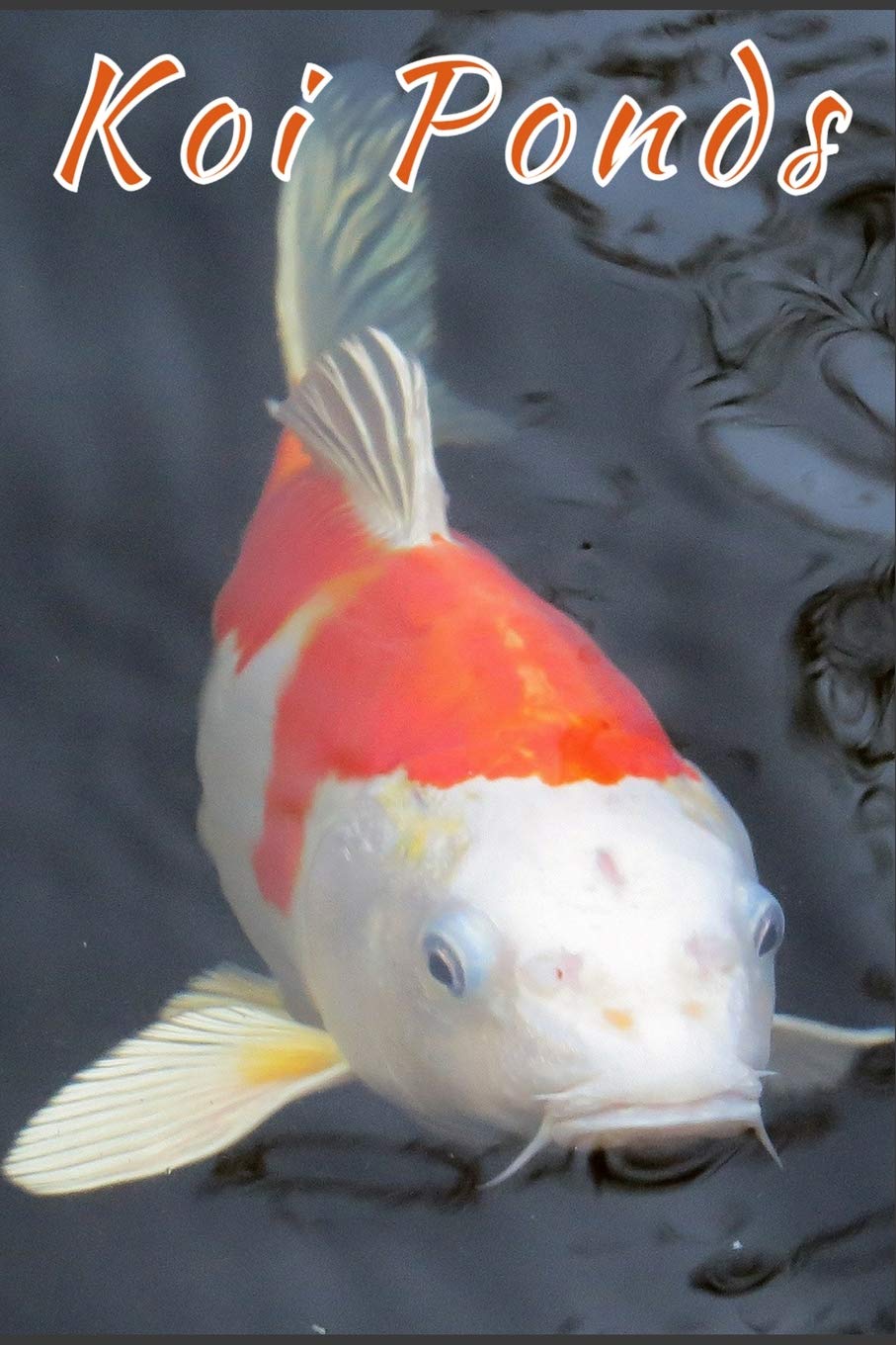 Koi Ponds Blank Lined Book For Koi Pond Fish Maintenance Great