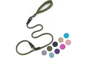 MOTAITY Slip Lead Dog Leash，Strong Nylon Rope Leash Anti-Choking Anti-Pull and Outdoor Walking Training Lead for Small Medium Large Dogs (Army Green,1/2"×4ft)