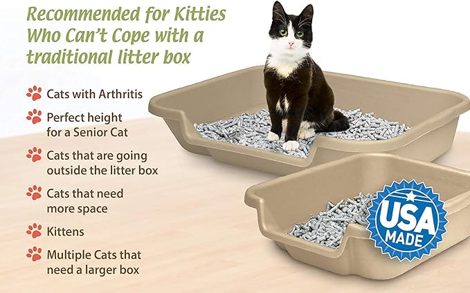 cat not using litter box anymore