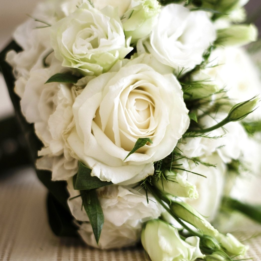 Edited Neue schöne entzückende Blume wohlriechende Blüte weiße Rosen Samen Bonsai Rose Rosensamen Dekorationen Bonsai, 20 Stück