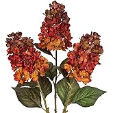 Arborus 3PCS Fake Flowers Cone Hydrangea Orange Artificial Fall Flowers 27" Long Fall Floral Stems for Vase, Real Touch Silk Flowers Décor for Floral Arrangement Autumn Home Kitchen Table Decor
