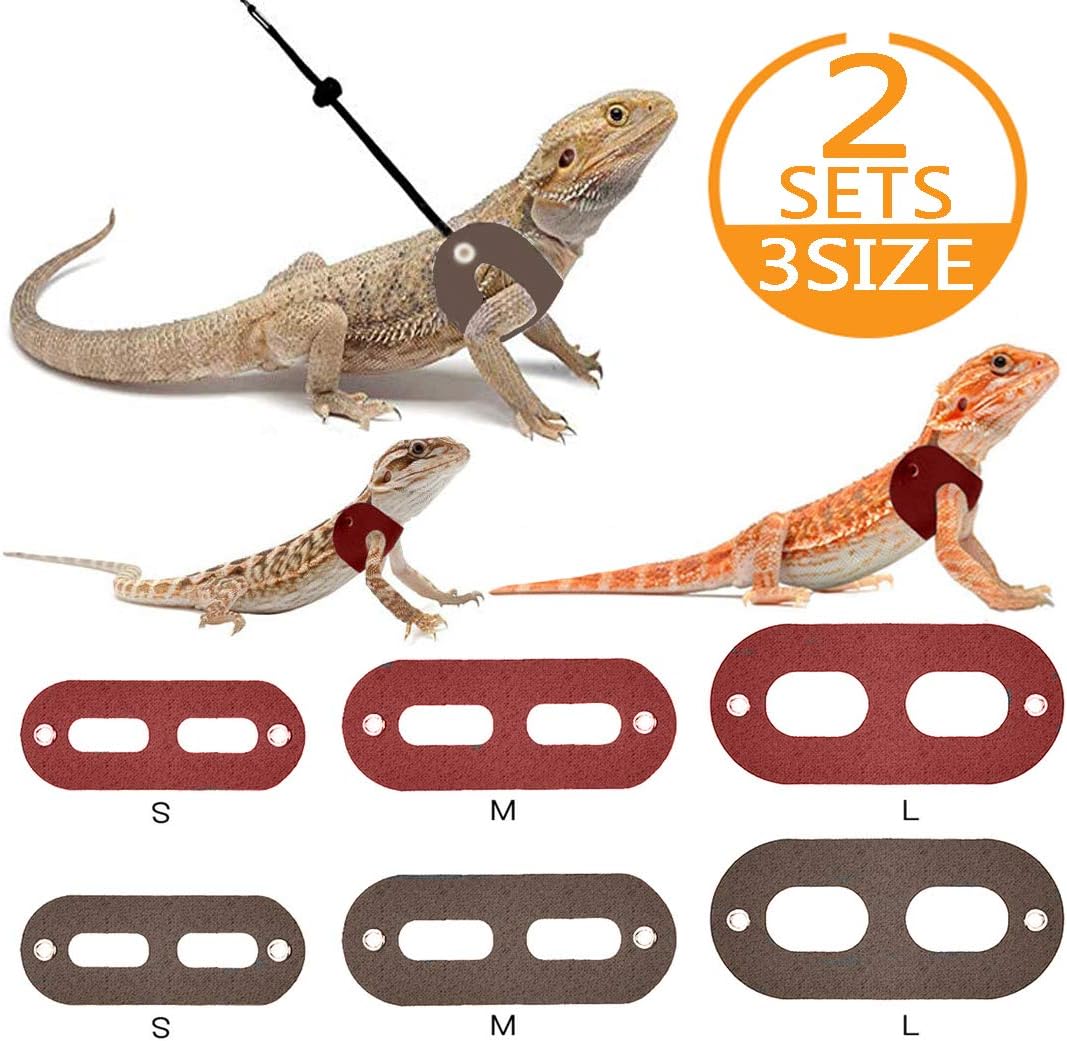 gecko leash