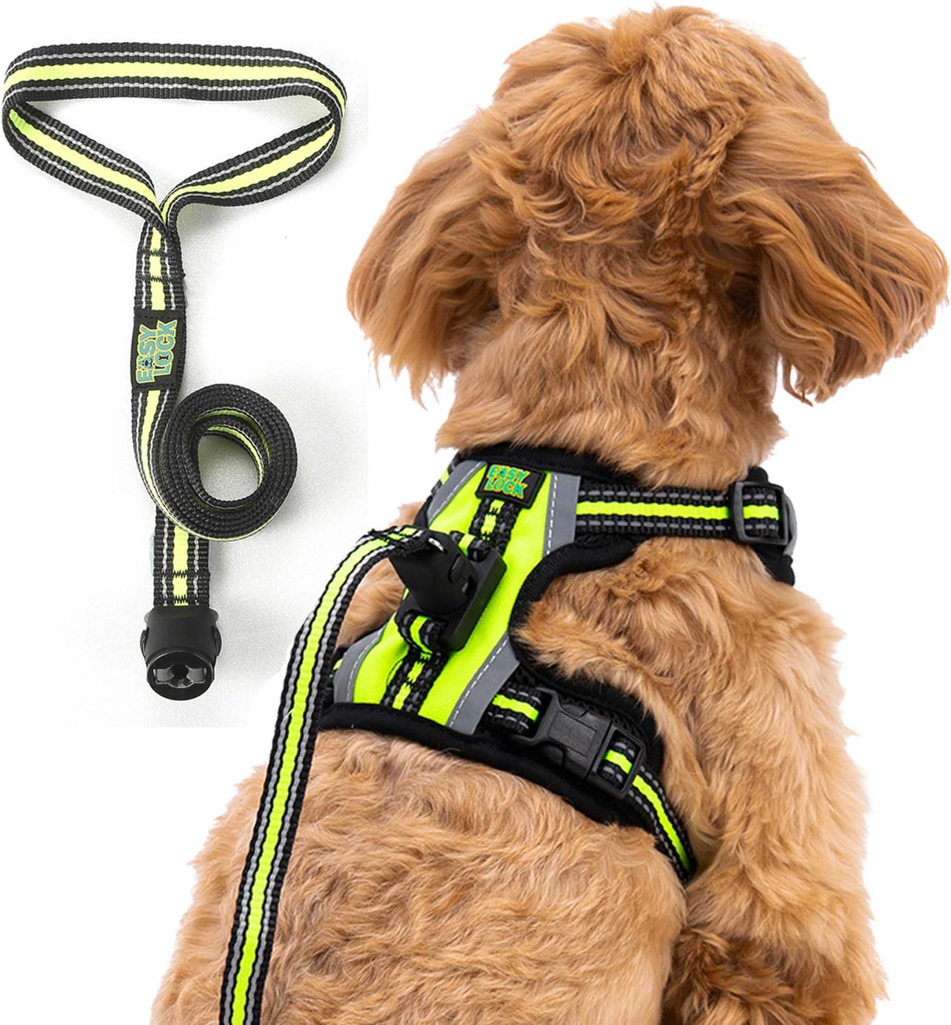 large puppy harness