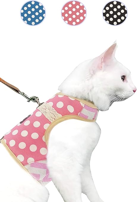 tiny kitten harness