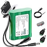12V 2800mAh Lithium ion Battery Pack with Charger & DC5521 Connector Compatible with 12V Devices, RC Car, Solar,CCTV Camera,Electronic Organ, Bike-Light, DIY Project, Radio,Fishing Light,LED Strip
