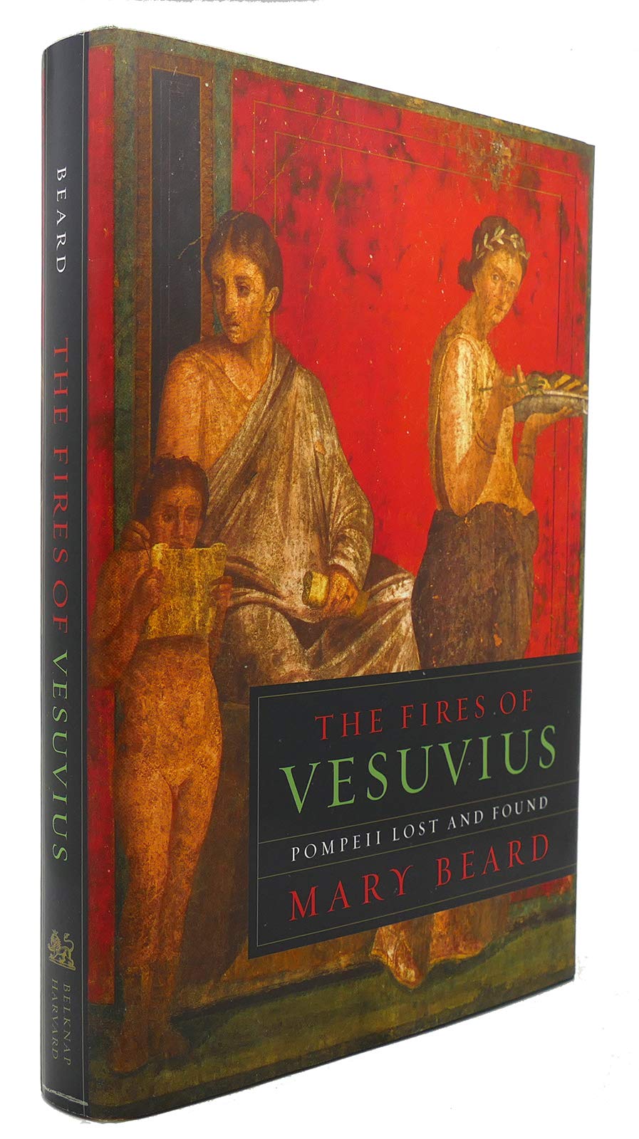 Fires Of Vesuvius:Pompeii Lost+Found