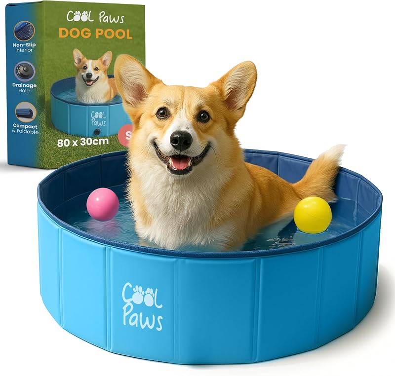 Cool Paws Foldable Paddling Pool for Dogs & Kids – S–XL, Leakproof