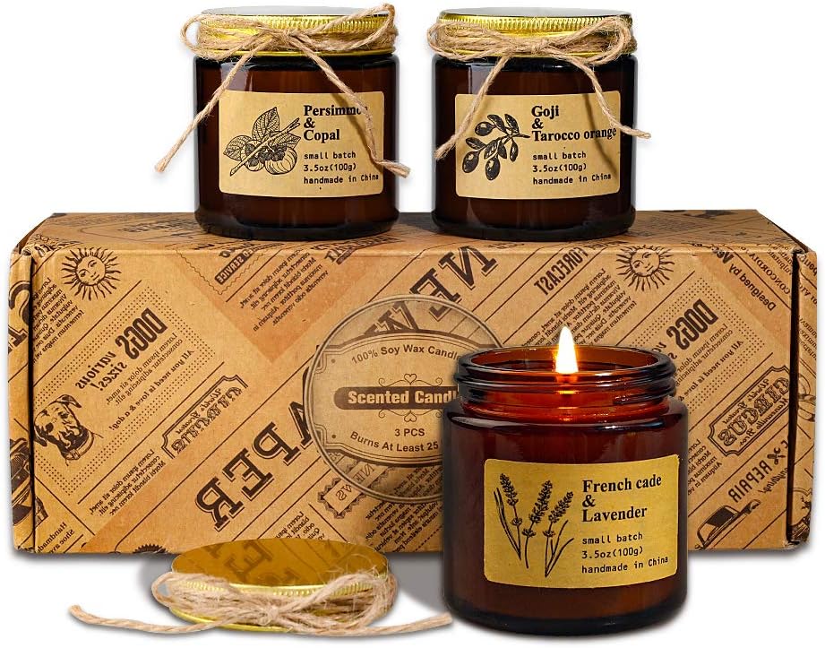 CREASHINE Scented Candles Gift for Women, Natural Organic Soy Wax Vintage Jar Candles for Stress Relief and Aromatherapy, Perfect Women & Men Fragrance Gift for Mother's Day Birthday(3 Pack)