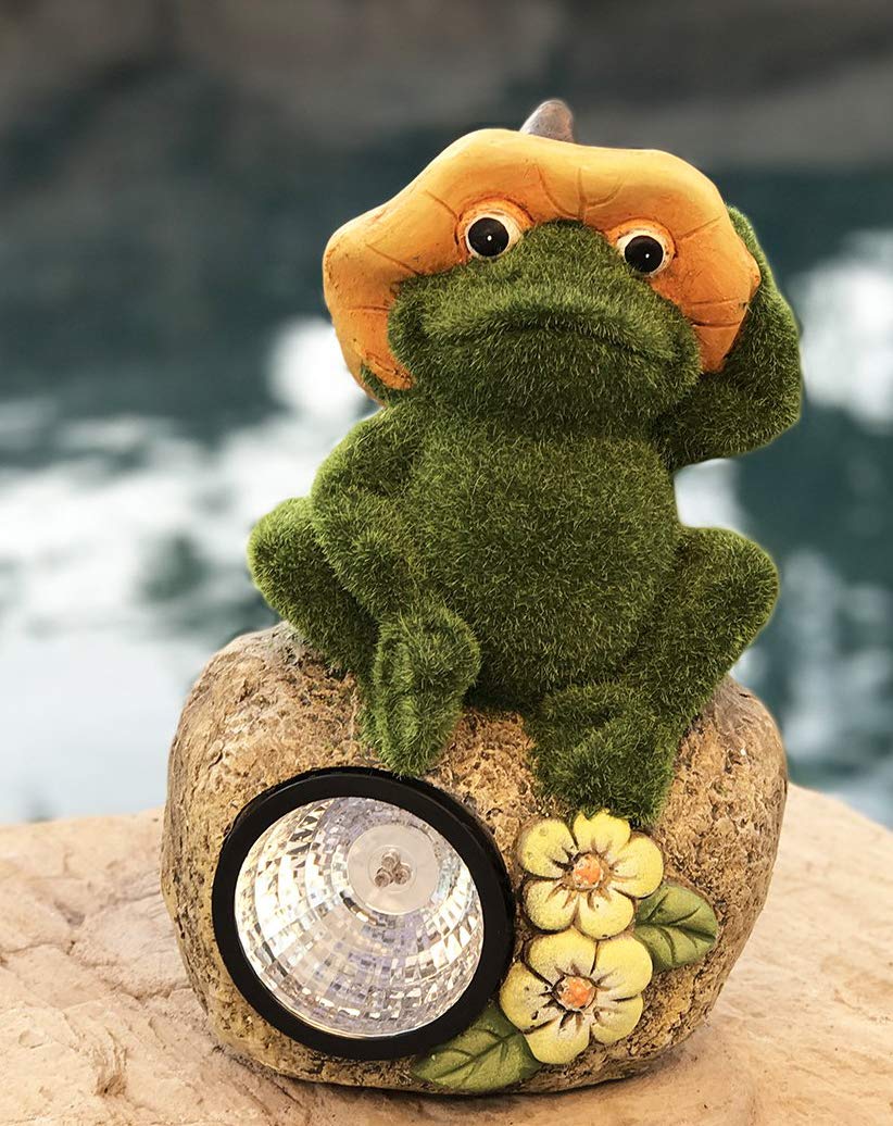 Best Solar Garden Lights Frog