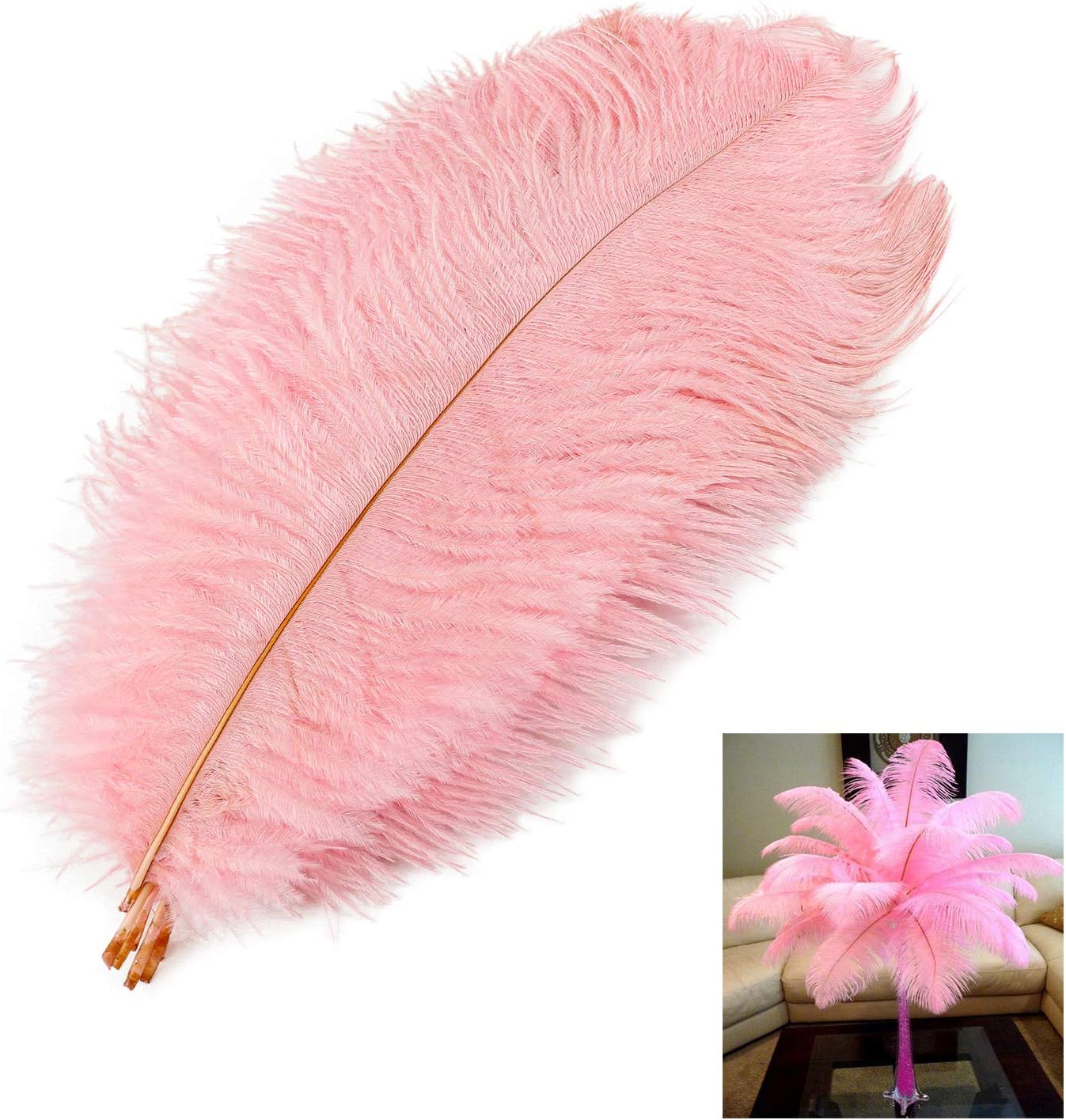 MWOOT 10pcs Natural Ostrich Feathers