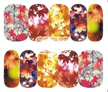 Amazon Com 1 Pack Colorful Fall Season Tree Red Maple Leaf Nail Art