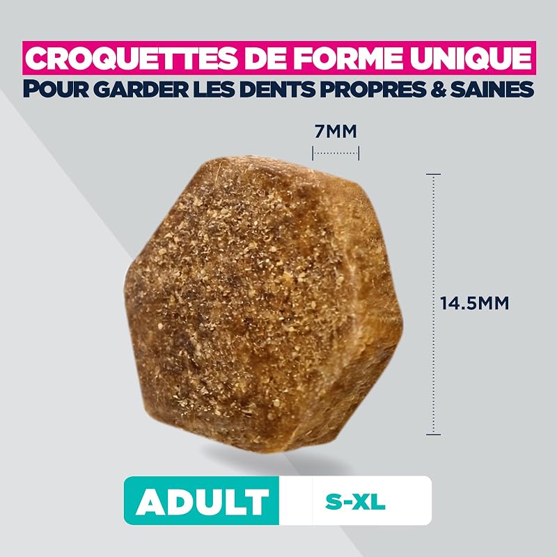 Overweight pour Chiens au Poulet - Aliment Sec Special Care à Faible teneur en matières Grasses, destiné à la Perte de Poids des Chiens sujets à la Surcharge pondérale, 12 kg