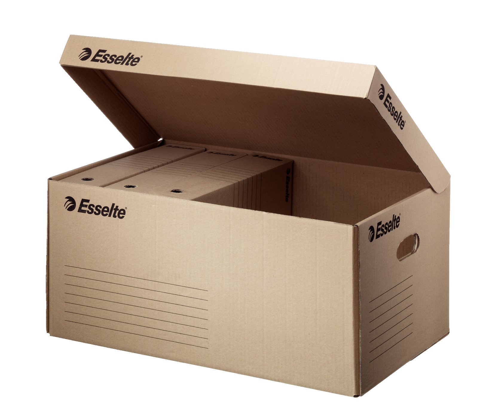 Esselte Archiving Box Storage Container - Brown
