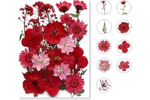 MUCBAFLY Dried Pressed Flowers for Resin, Real Pressed Flowers Dry Leaves Bulk Natural Herbs Kit for Scrapbooking DIY Art Crafts, Nails Décor, Epoxy Resin Jewelry, Candle, Soap Making (Red)
