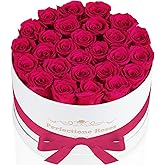 Perfectione Roses 27 Roses in a Box, Mothers Day Rose, Preserved Flowers for Her, Flowers for Delivery Birthday Gifts for Women (Radiant Pink)