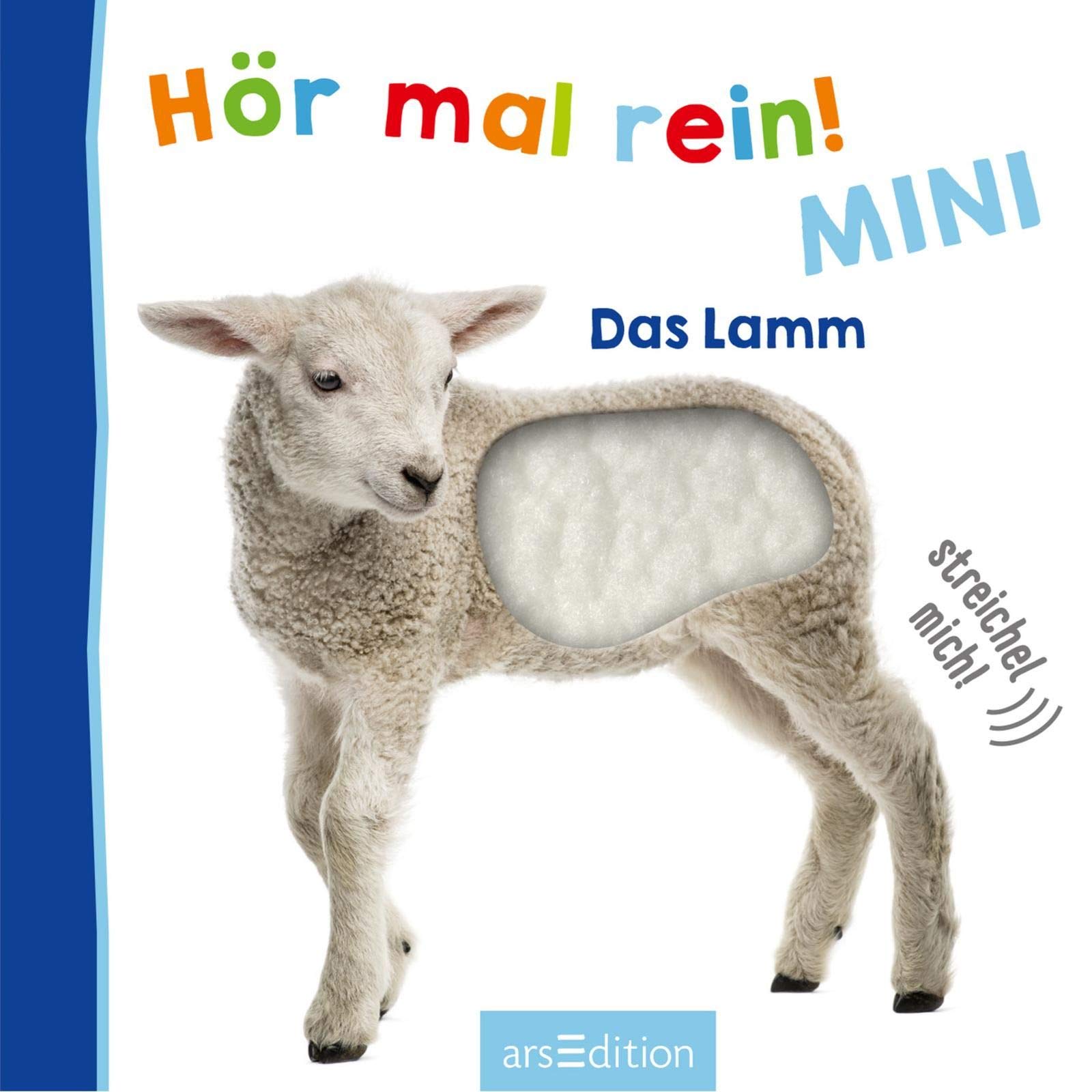 Hor Mal Rein Mini Das Lamm Foto Streichel Soundbuch Amazon De Arsedition Bucher