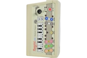NEW-RAAGINI DIGITAL ELECTRONIC ~ TANPURA TAMBORA PLAY WITH TABLA ~ ESRAJ ~ SITAR