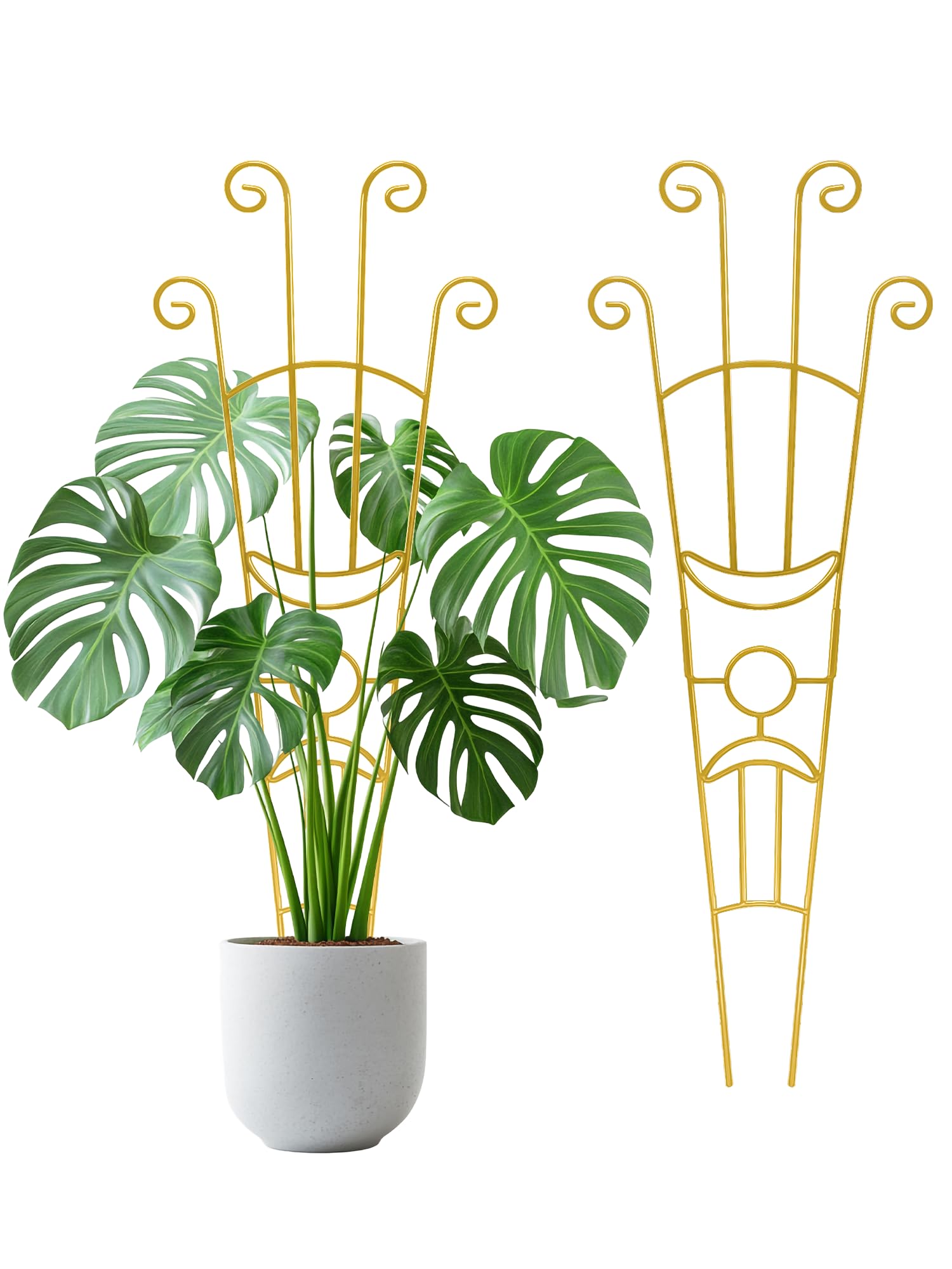 Photo 1 of 33 Inch Tall Expandable Metal Trellis for Potted Plants, Rustproof Expandable Indoor Outdoor Plant Support Trellis for Climbing Plants, Monstera, Ivy, Hoya with Sturdy Weighted Base (Gold)