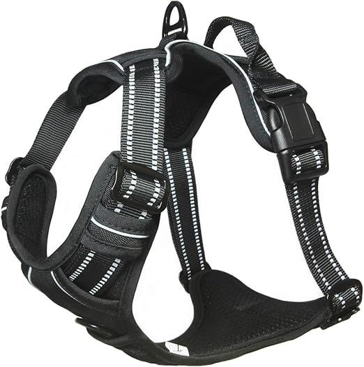 planet dog harness