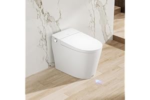 Ecoway Lux Smart Toilet, Built-in Bidet, Heated Seat with Remote Control and Dryer, White