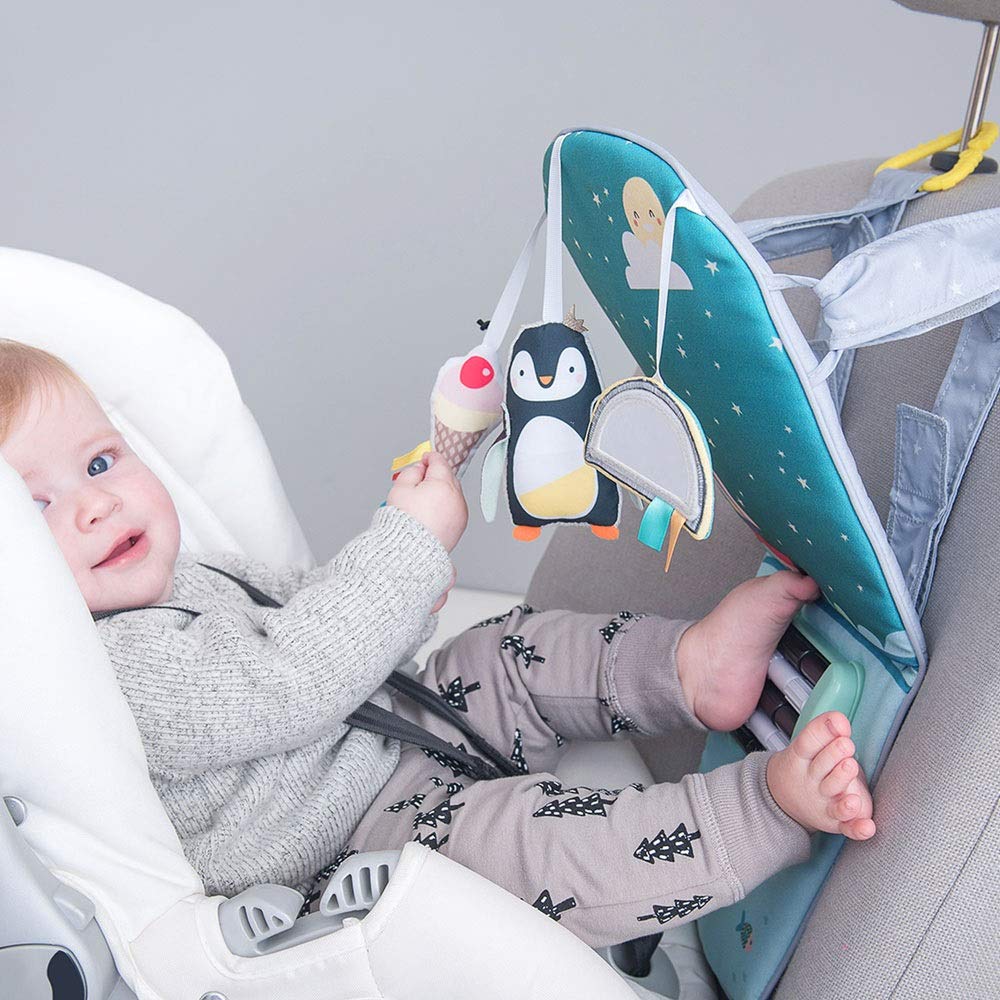 taf toys toe time infant car seat toy
