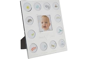C.R. GIBSON Carter's Baby's First Year Animal Theme Silver Metal Month by Month Picture Frame, 9.75" L x 11.75" H