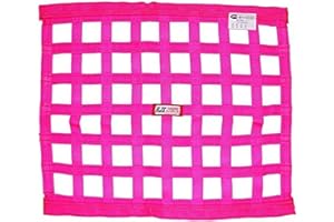 RJS Racing Equipment 10000410 Window Net