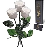Yamonic Preserved Flowers Rose Gifts for Women Mom, Mom Birthday Gifts for Mother, Real Flower Rose for Her, Grandma, Wife, Girlfriend Gifts on Christmas, Mothers Day, Valentine's Day, Anniversary