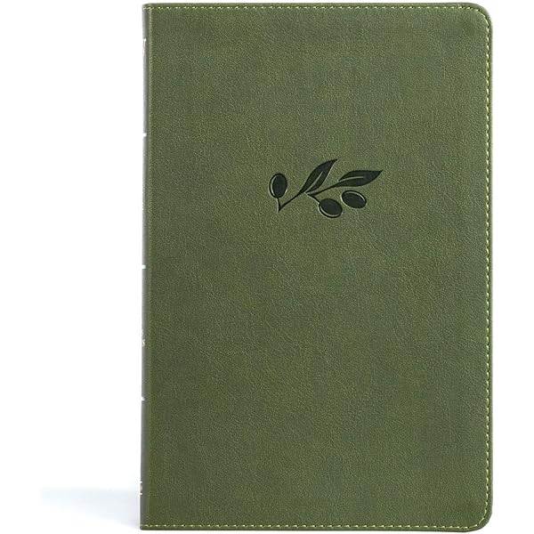 KJV Large Print Compact Reference Bible, Olive LeatherTouch, Red