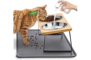 LOPLUREA Elevated Cat Food Bowls with Mat Whisker Friendly, 15°Tilted Raised Cat Water Dishes Set for Anti Vomit, Pet Holder Stand Feeding Station for Indoor Kitten and Puppy Dog