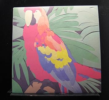 algernon cadwallader parrot flies algernon cadwallader parrot flies