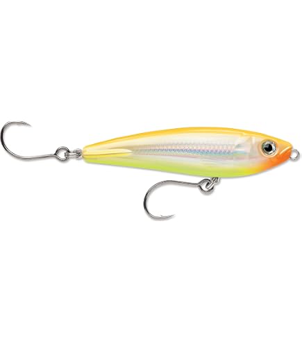 Amazon.com : Rapala X-Rap Subwalk 15 Fishing Lures (Silver, Size
