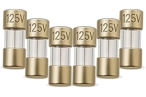 DEALENVY 2.5A (2.5 Amp) Mini Glass Fuses, F2.5AL Micro Fuses 3.6 x 10mm (0.14 x 0.39 inches), 125V Fast-Blow, Fast Acting Replacement for Christmas Lights, String Lights, Electronics, Appliances, 6 Pack