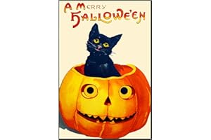 Orenco Originals Pumpkin Black Cat Halloween Counted Cross Stitch Pattern
