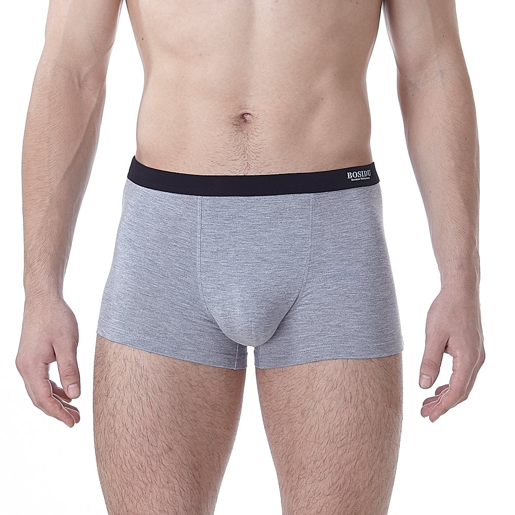 Bosidu Men\'s 4 Pack Breathable Modal Boxer Brief Underwear with Box Pack (Medium, A:4 Pairs Boxer Briefs)