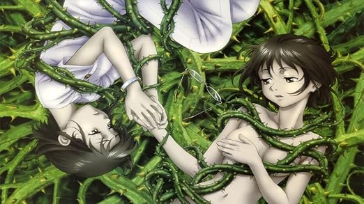 Download Ibara No Ou 62x35 Cm 25x14 Inch Poster High Quality Silk Print For Android Free Get Wallpaper Ibara No Ou 62x35 Cm 25x14 Inch Poster High Quality Silk Print Desktop Wallpaper