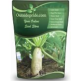Outsidepride Annual Daikon Radish Seeds - 5 lbs. Chinese, Japanese, &amp; Oriental Radish Seeds for Soil Health, Erosion Control, &amp; Soil Aeration - Ideal for Gardens, Cover Crops, Pastures, &amp; Food Plots