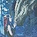 DIY 5D Diamond Painting by Number Kits Full Drill Rhinestone Embroidery Cross Stitch Pictures Arts Craft for Home Wall Decor,Dragon and Princess Girl - 11.8x11.8 inches