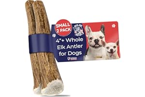 Devil Dog Pet Co. Elk Antlers for Dogs, 2 Pack, Small 4”+ – Grade A Long Lasting Dog Bones for Aggressive Chewers, Premium USA Naturally Shed Antler Dog Chew – Healthy, No Odor, Dog Antler Chews