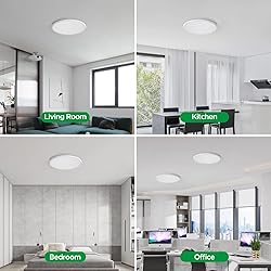 TALOYA 18 Inch Flush Mount Led Ceiling Light