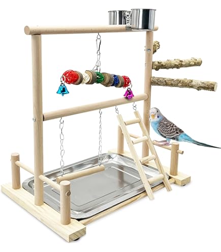 Suction Cup Bird Perch For Window