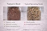 Nature’s Root Organic Radish Mix 250g Microgreen Sprouting Seeds view 6