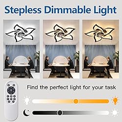 Dalouguan Ceiling Fan with Lights Remote