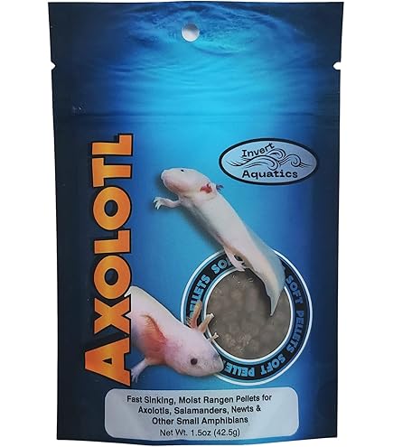 PAIZOO Thermomètre D'aquarium Numérique LED, Compteur De Température Sans Fil Précis ± 0,-12,8 °C, Accessoires D'aquarium, Aquarium Betta, Axolotl Ou Aquarium, Batterie S