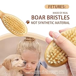 Dog Brush Cat Brush, Double Sided Bristle and Pin