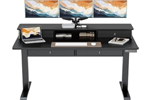 ErGear Electric Standing Desk with 4 Drawers, 63" x 30" Height Adjustable Desk with Storage, C-Clamp Mount Compatible, Computer Home Office Table with Cable Management Tray, Black