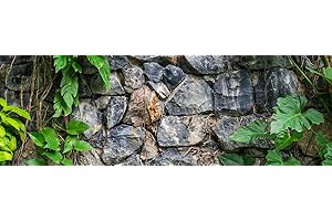 BannersNStands Aquarium Terrarium Backgrounds Main (Rock Wall with Plants, 48”L x 24”H)