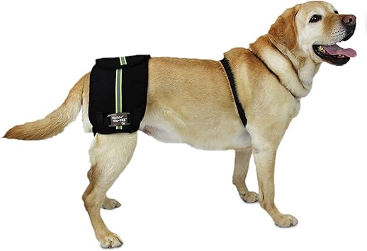 hip dysplasia sling